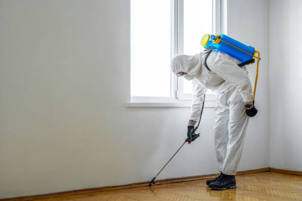 Best Emergency Pest Control  in Eureka, KS