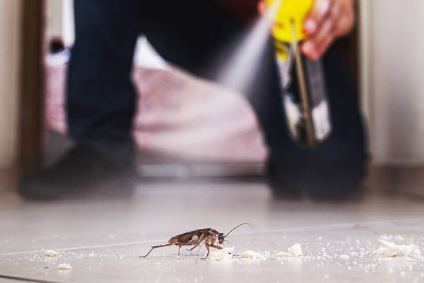 Best Ant Control Services  in Eureka, KS