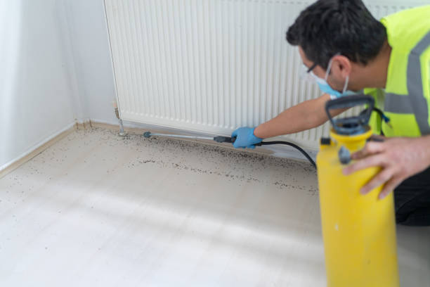 Best Residential Pest Control  in Eureka, KS