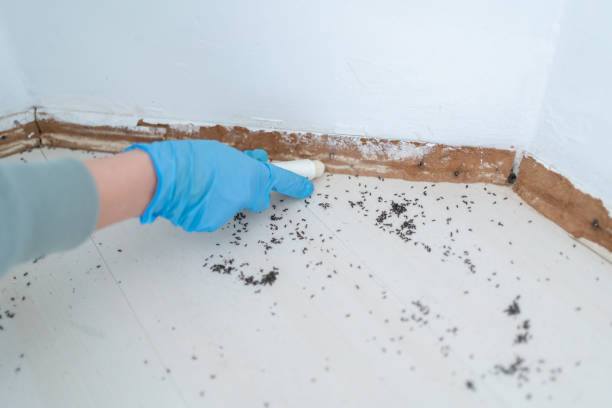 Best Bed Bug Extermination  in Eureka, KS
