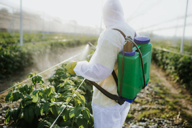 Best Pest Inspection Near Me  in Eureka, KS